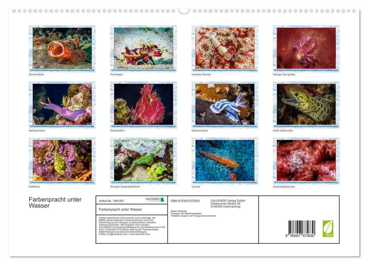 Bild: 9783457675830 | Farbenpracht unter Wasser (hochwertiger Premium Wandkalender 2026...