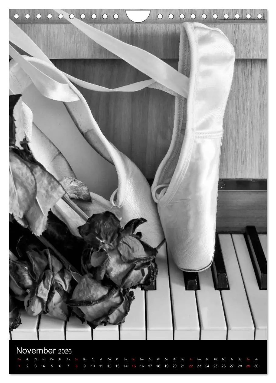 Bild: 9783516455830 | Ballett in Schwarzweiss (Wandkalender 2026 DIN A4 hoch), CALVENDO...