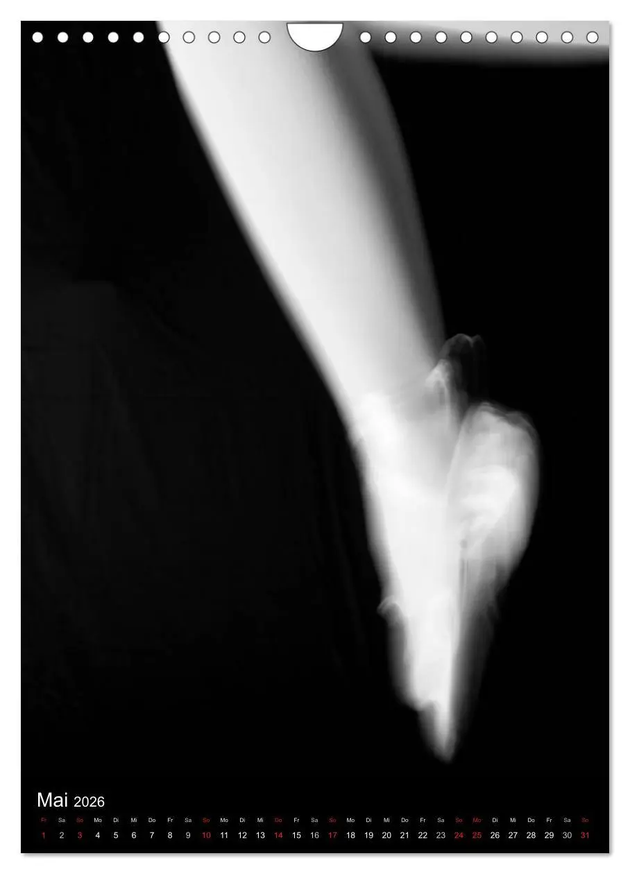 Bild: 9783516455830 | Ballett in Schwarzweiss (Wandkalender 2026 DIN A4 hoch), CALVENDO...