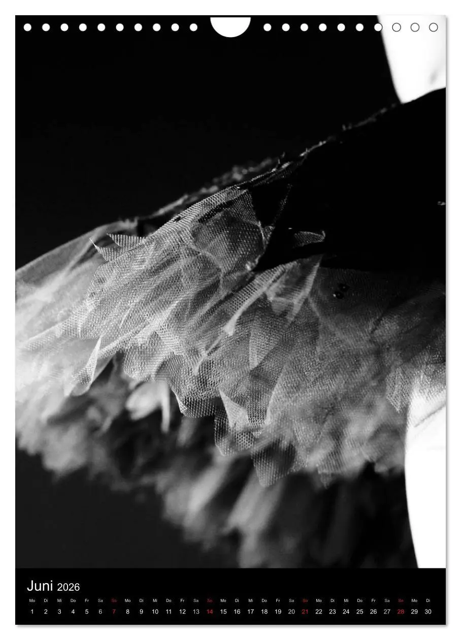 Bild: 9783516455830 | Ballett in Schwarzweiss (Wandkalender 2026 DIN A4 hoch), CALVENDO...