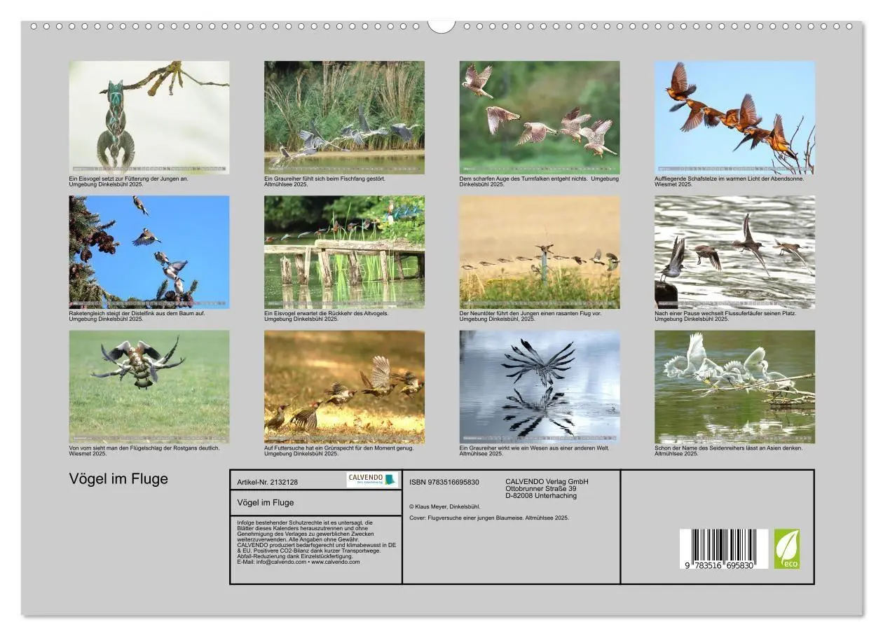 Bild: 9783516695830 | Vögel im Fluge (hochwertiger Premium Wandkalender 2026 DIN A2...