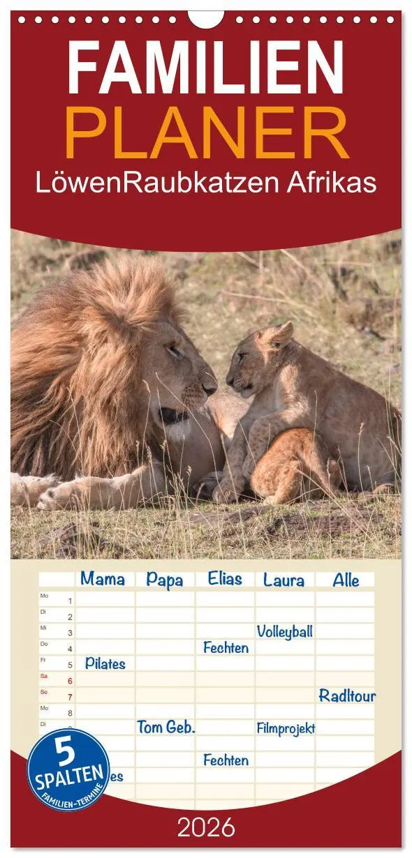 Cover: 9783516515930 | Familienplaner 2026 - Löwen - Raubkatzen Afrikas mit 5 Spalten...