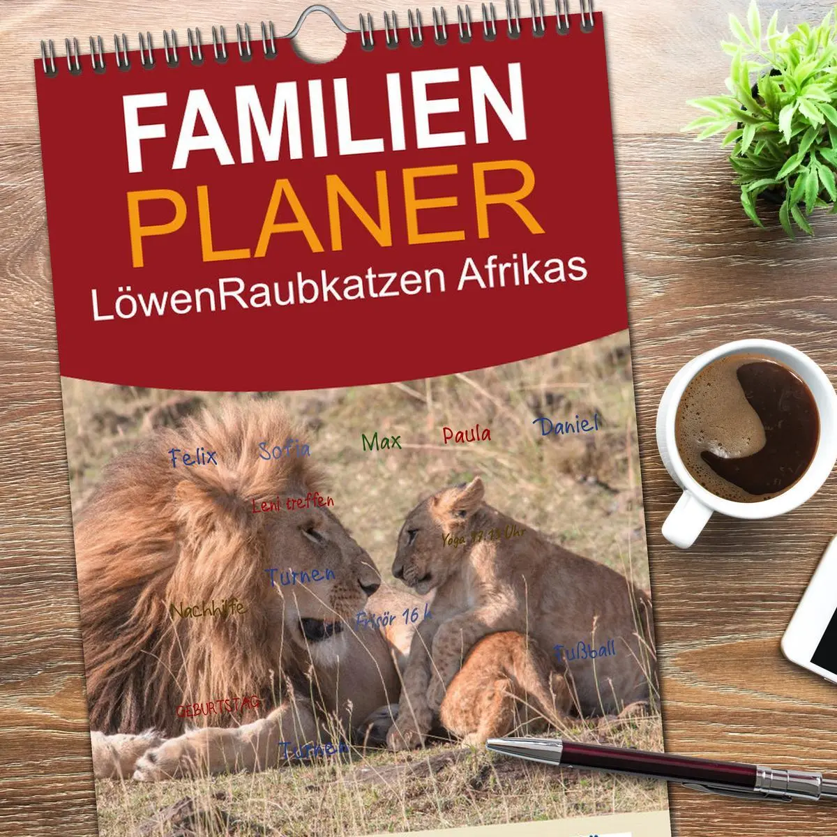 Bild: 9783516515930 | Familienplaner 2026 - Löwen - Raubkatzen Afrikas mit 5 Spalten...