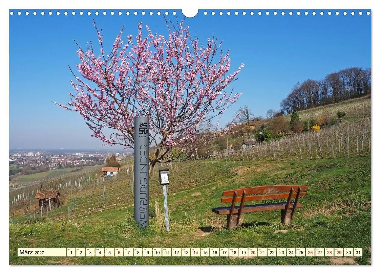Bild: 9783516755930 | Bensheim an der Bergstraße Mandelblüte, Wein und Fachwerk...