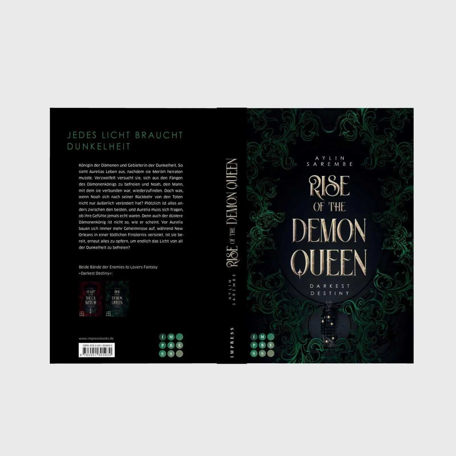 Bild: 9783551305930 | Rise of the Demon Queen (Darkest Destiny 2) | Aylin Sarembe | Buch