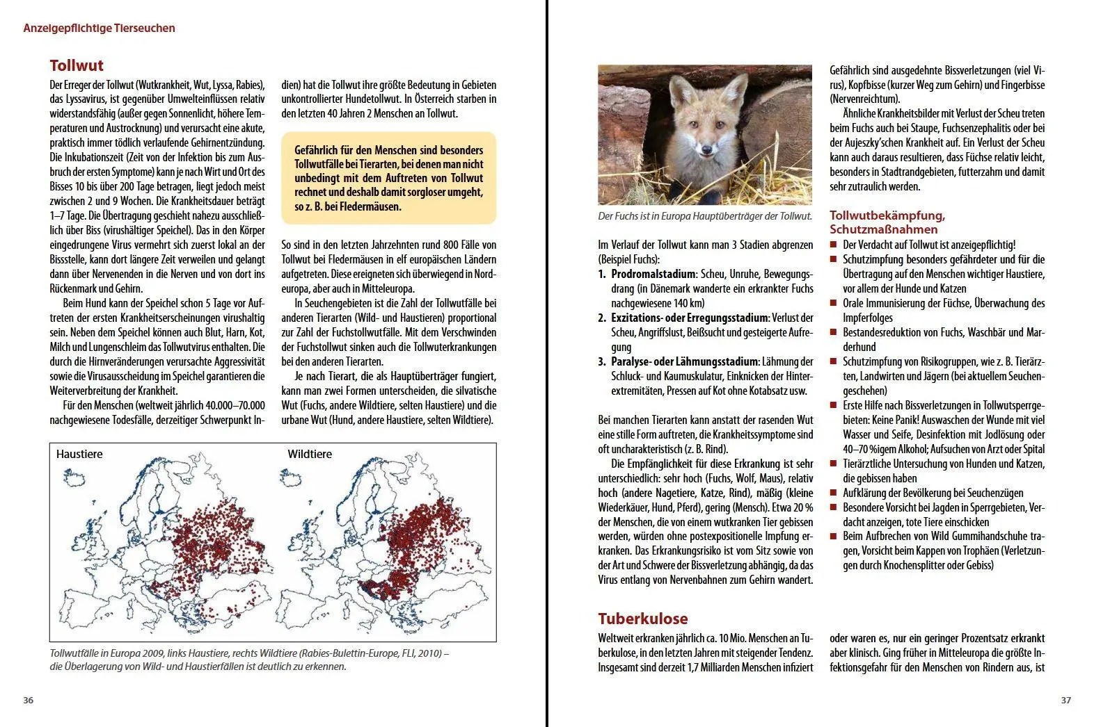 Bild: 9783702015930 | Die häufigsten Nutztierkrankheiten | Armin Deutz (u. a.) | Buch | 2016