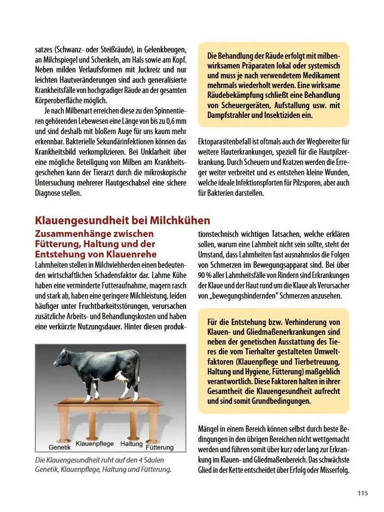 Bild: 9783702015930 | Die häufigsten Nutztierkrankheiten | Armin Deutz (u. a.) | Buch | 2016