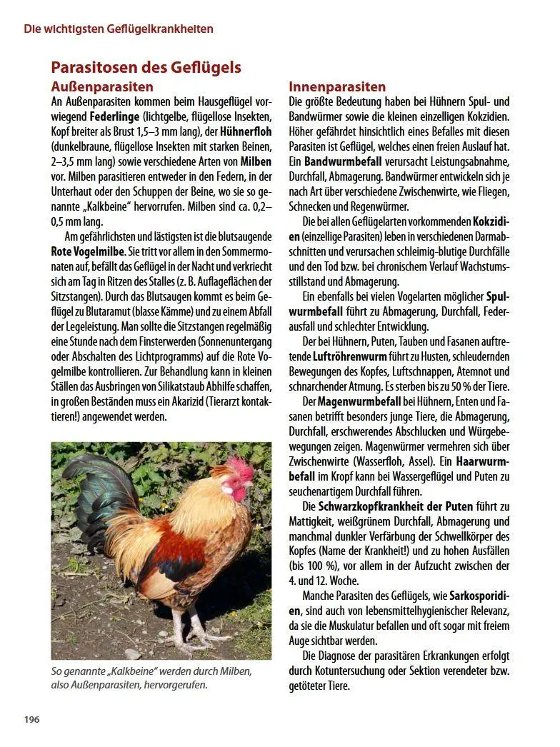 Bild: 9783702015930 | Die häufigsten Nutztierkrankheiten | Armin Deutz (u. a.) | Buch | 2016
