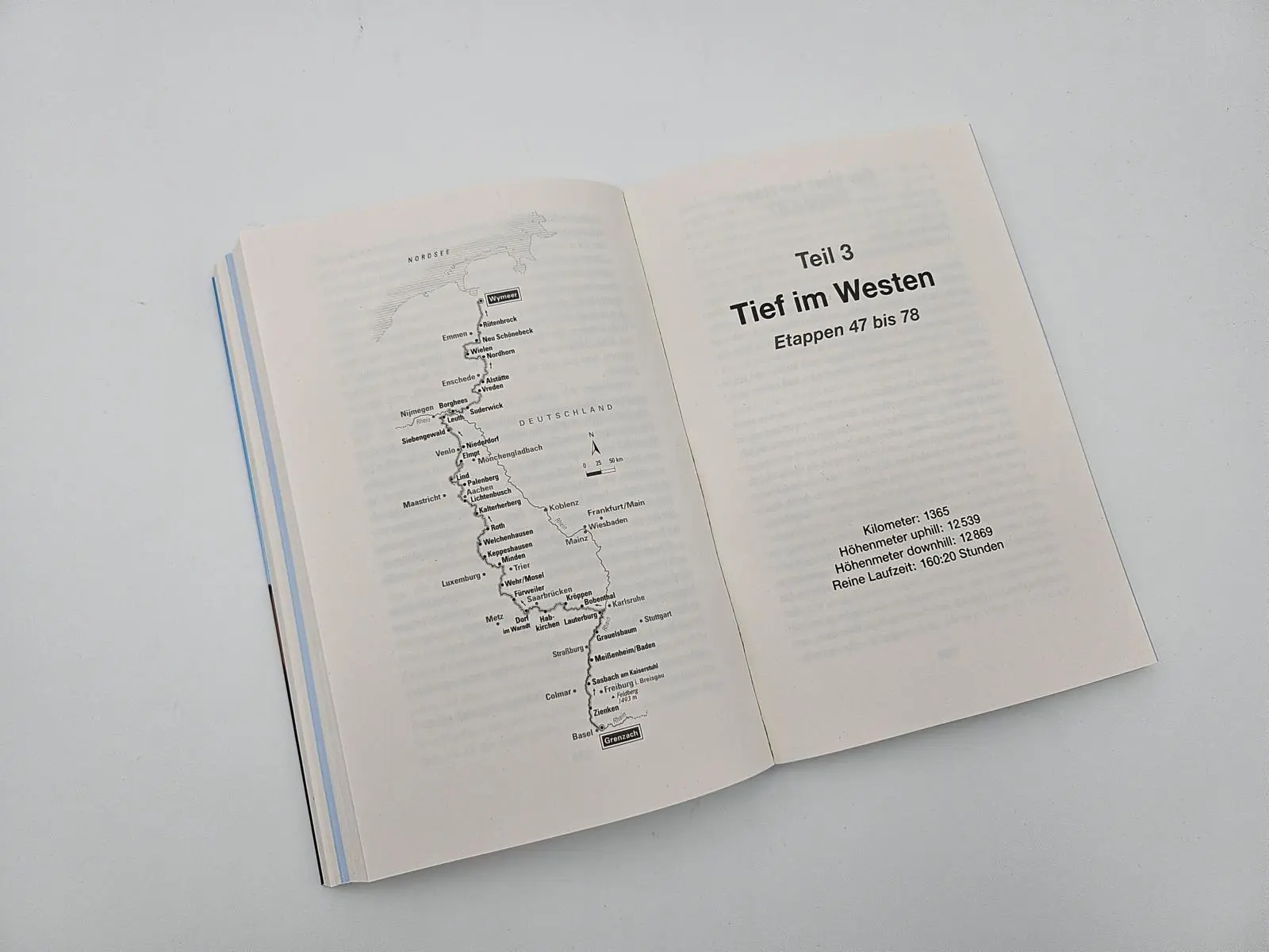 Bild: 9783890295930 | The Joy(ce) of Running - Der Lauf meines Lebens | Joyce Hübner | Buch