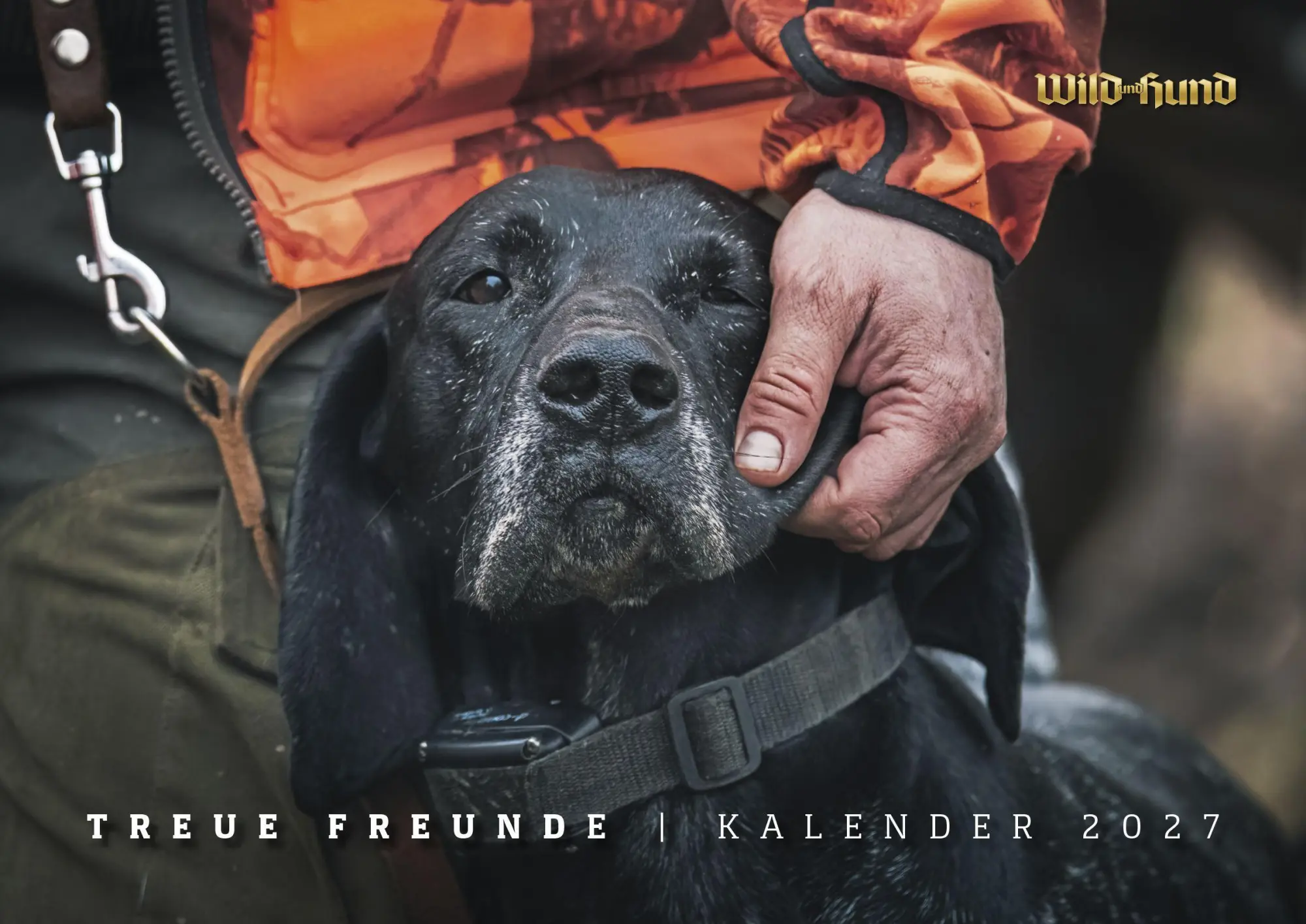 Cover: 9783897155930 | WILD UND HUND Edition: Treue Freunde Kalender 2027 | HUND | Kalender