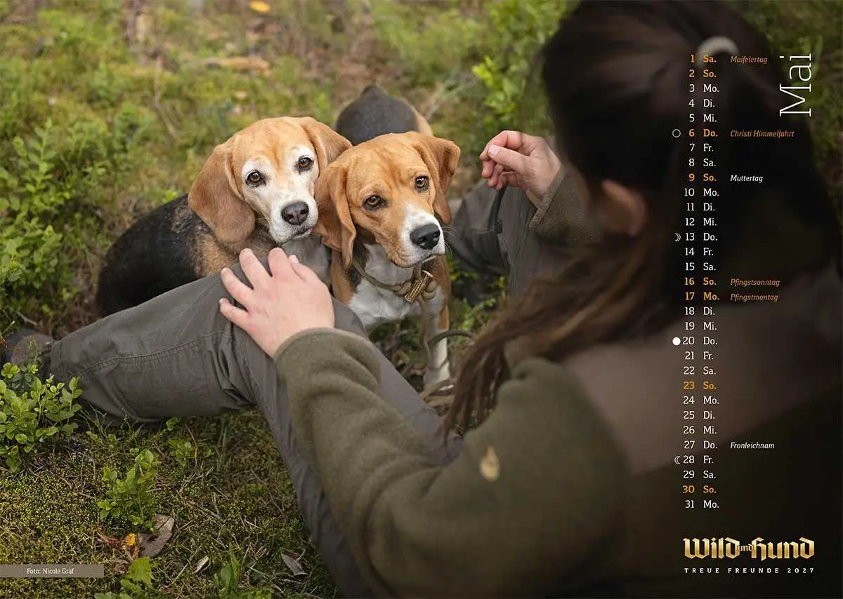 Bild: 9783897155930 | WILD UND HUND Edition: Treue Freunde Kalender 2027 | HUND | Kalender