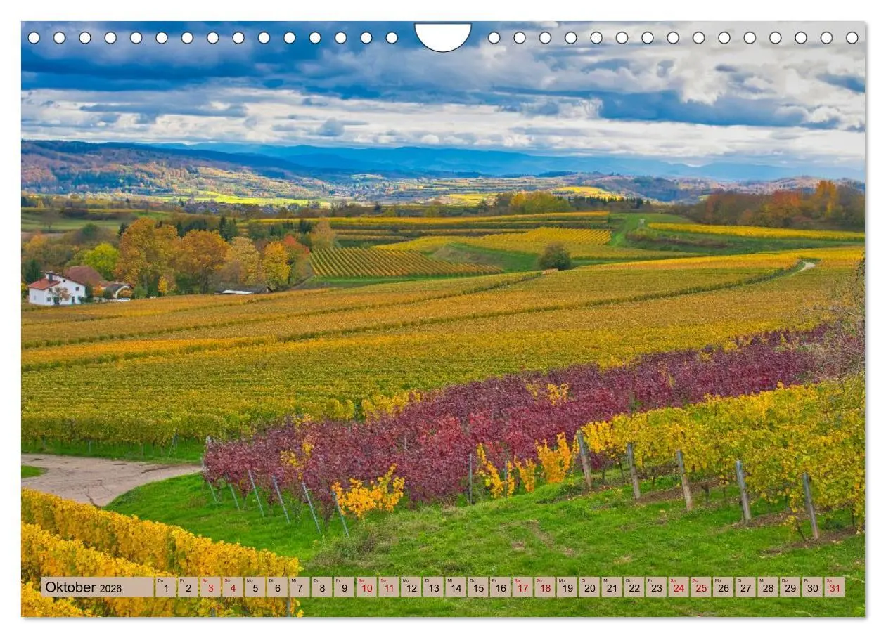 Bild: 9783457626030 | Ortenau - die badische Toskana (Wandkalender 2026 DIN A4 quer),...