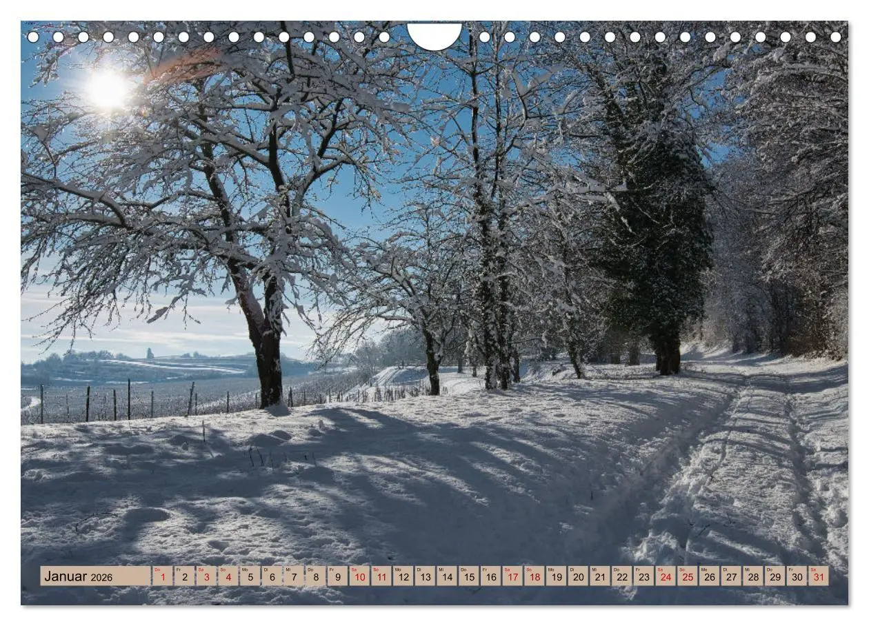 Bild: 9783457626030 | Ortenau - die badische Toskana (Wandkalender 2026 DIN A4 quer),...