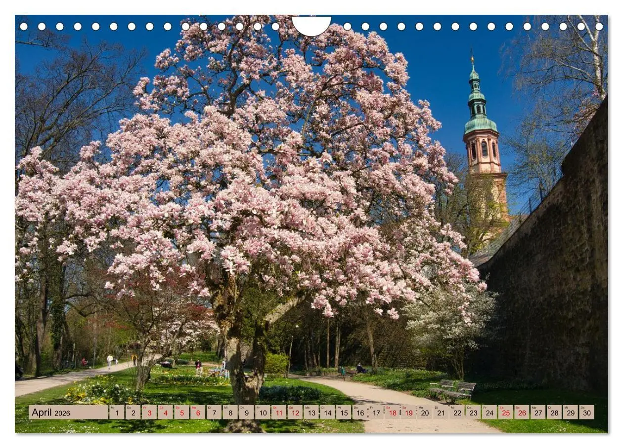 Bild: 9783457626030 | Ortenau - die badische Toskana (Wandkalender 2026 DIN A4 quer),...
