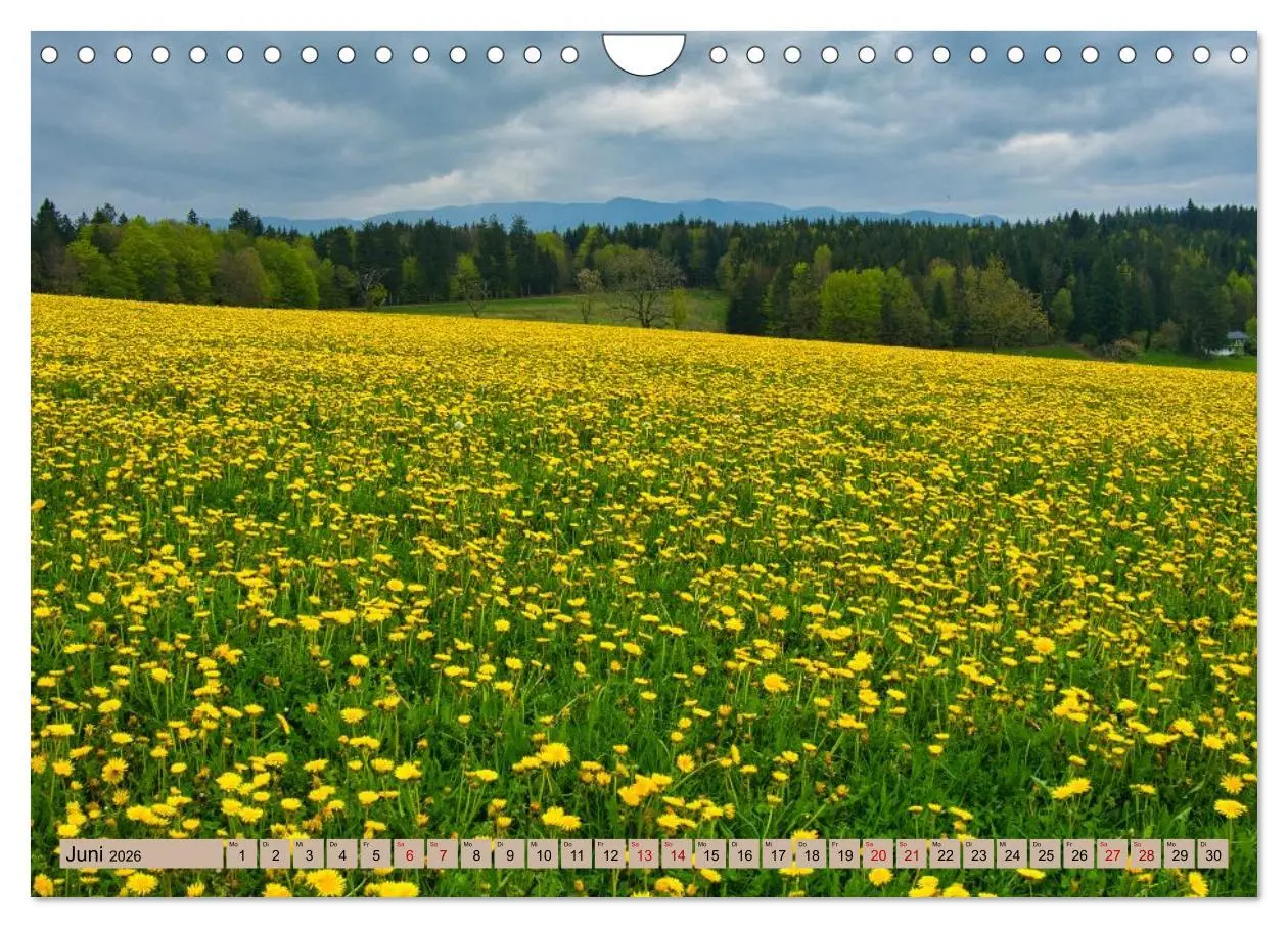 Bild: 9783457626030 | Ortenau - die badische Toskana (Wandkalender 2026 DIN A4 quer),...