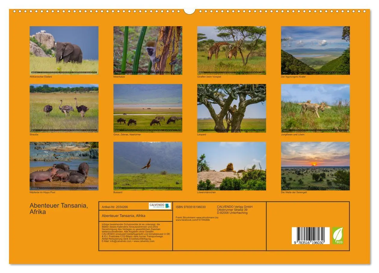 Bild: 9783516196030 | Abenteuer Tansania, Afrika (hochwertiger Premium Wandkalender 2026...