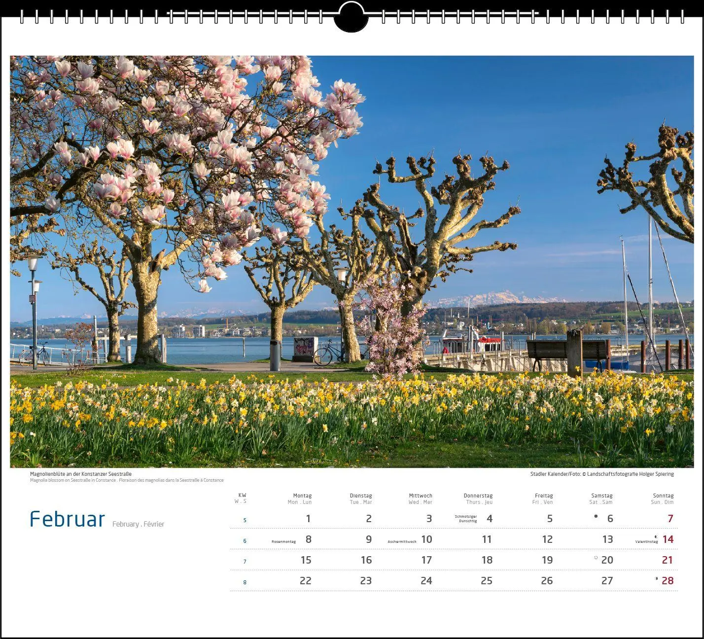 Bild: 9783861926030 | Malerischer Bodensee 2027 | Holger Spiering | Kalender | Spiralbindung