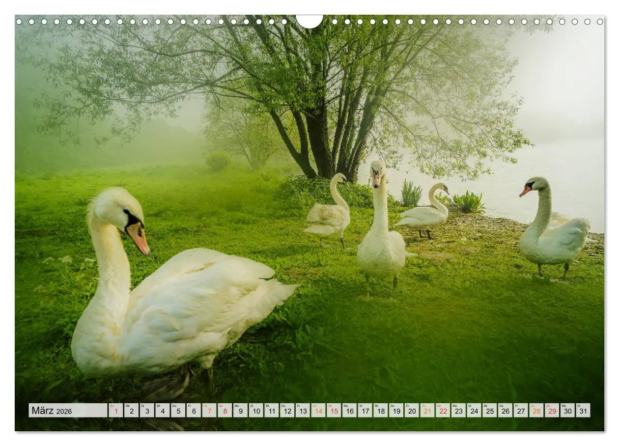Bild: 9783457786130 | Bielefeld - Der Obersee - unendliche Motive... (Wandkalender 2026...