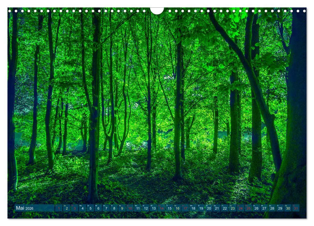 Bild: 9783457786130 | Bielefeld - Der Obersee - unendliche Motive... (Wandkalender 2026...