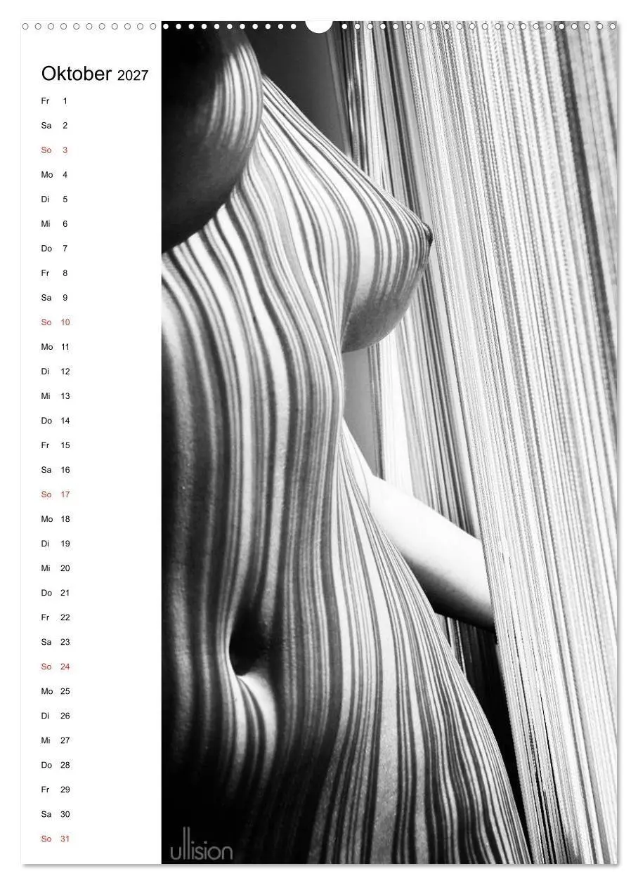 Bild: 9783594166130 | Akt abstrakt (hochwertiger Premium Wandkalender 2027 DIN A2 hoch),...