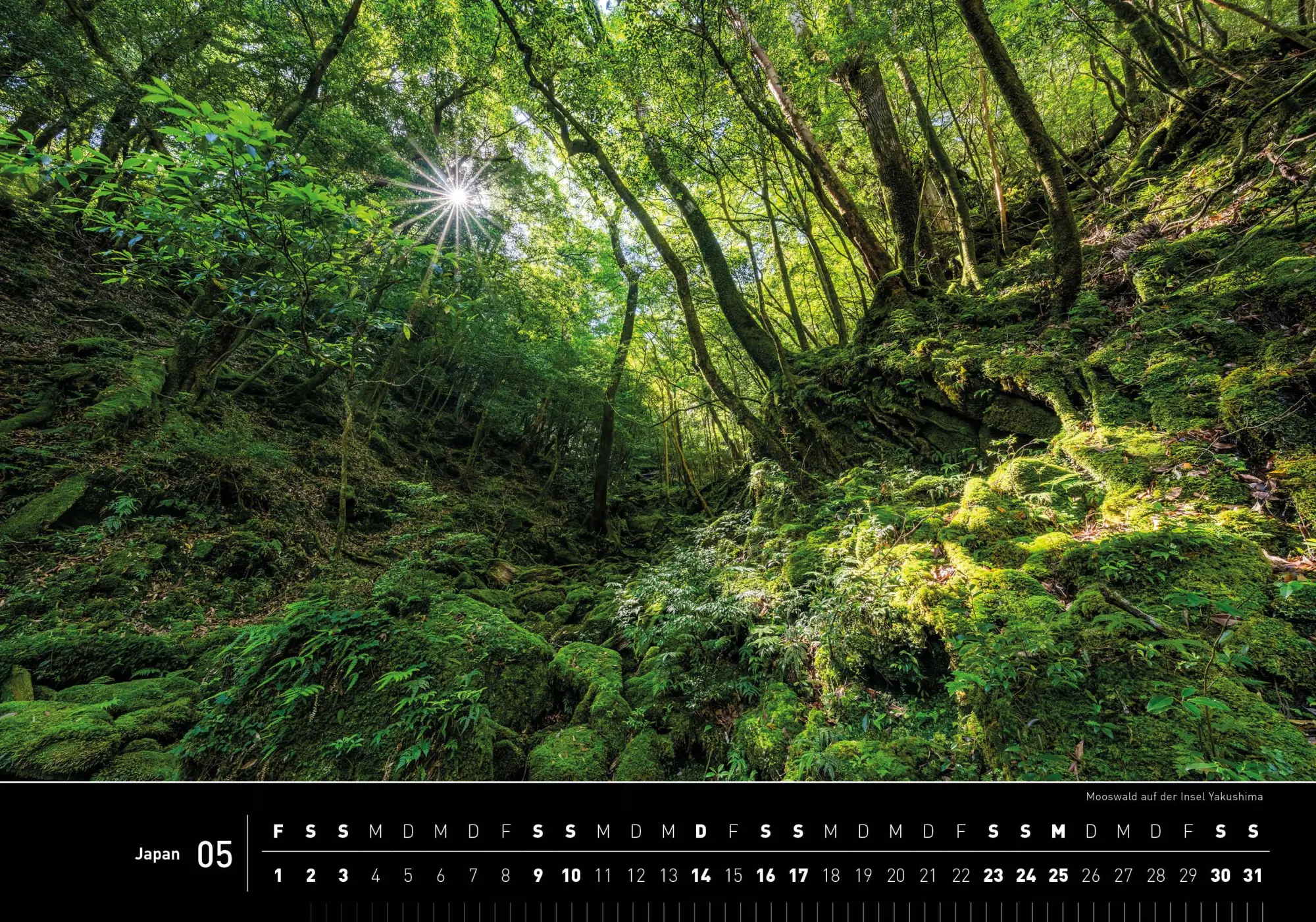 Bild: 9783968556130 | Japan Premiumkalender 2026 | Jan Becke | Kalender | 14 S. | Deutsch