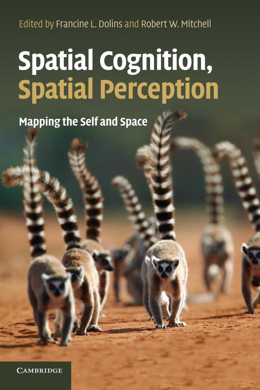 Cover: 9781107646230 | Spatial Cognition, Spatial Perception | Francine L. Dolins (u. a.)