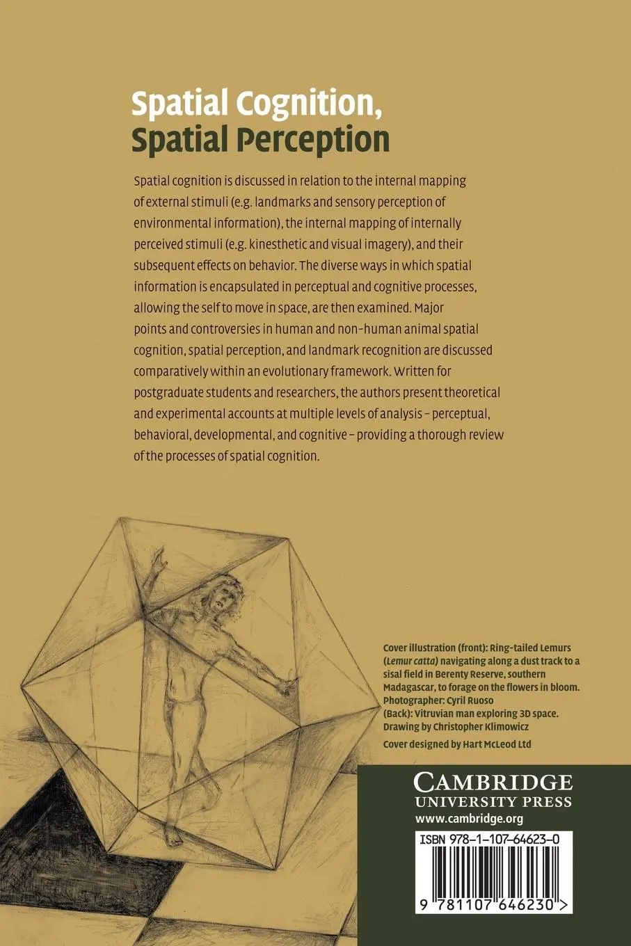 Rückseite: 9781107646230 | Spatial Cognition, Spatial Perception | Francine L. Dolins (u. a.)
