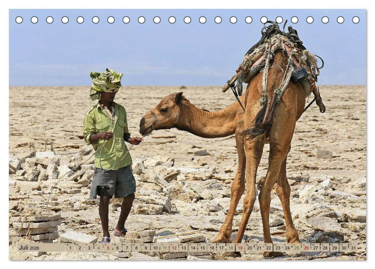 Bild: 9783457846230 | Kamele - Die freundlichen Gepäckträger (Tischkalender 2026 DIN A5...