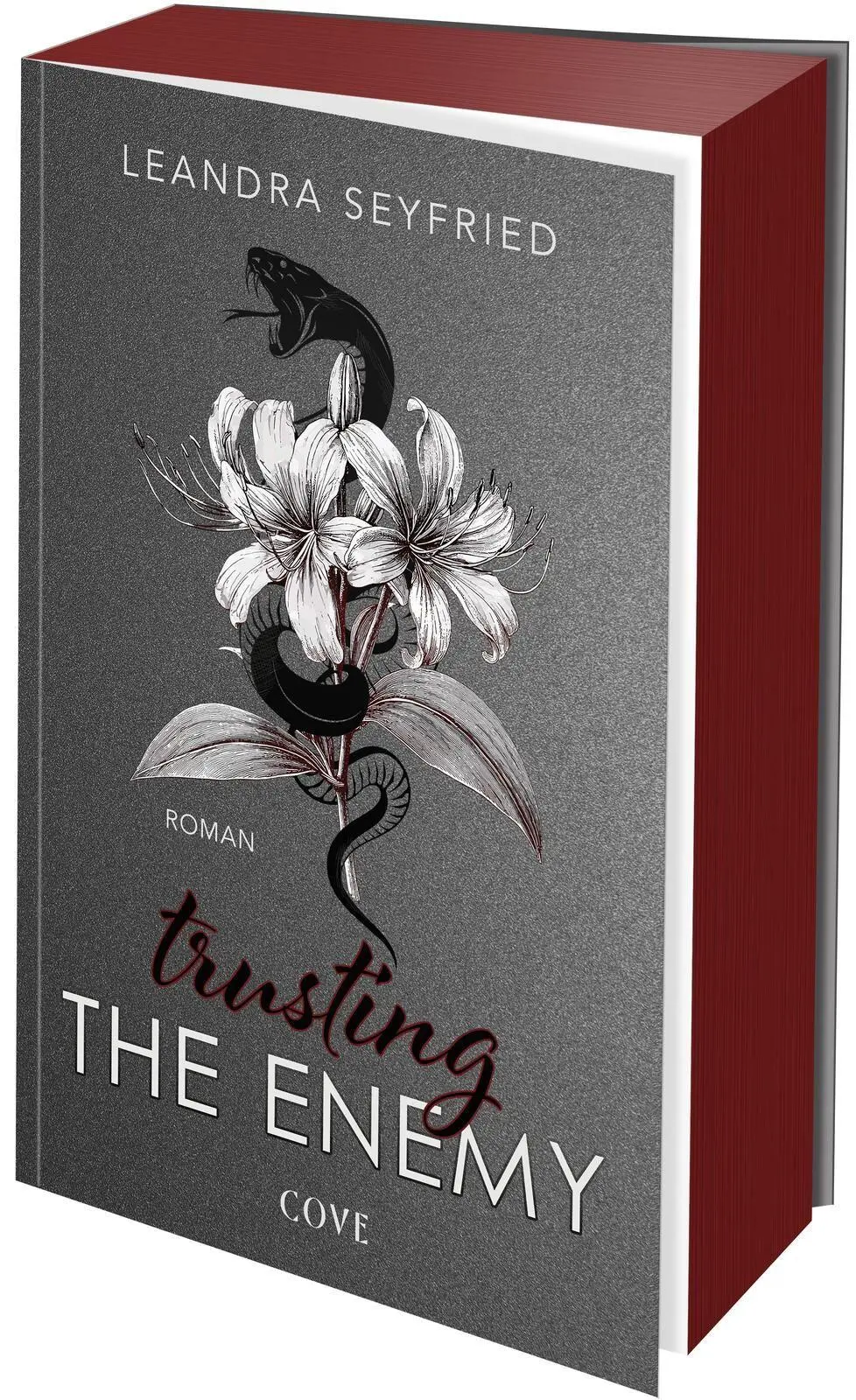 Cover: 9783551586230 | Trusting The Enemy (Sons of Chicago 2) | Leandra Seyfried | Buch