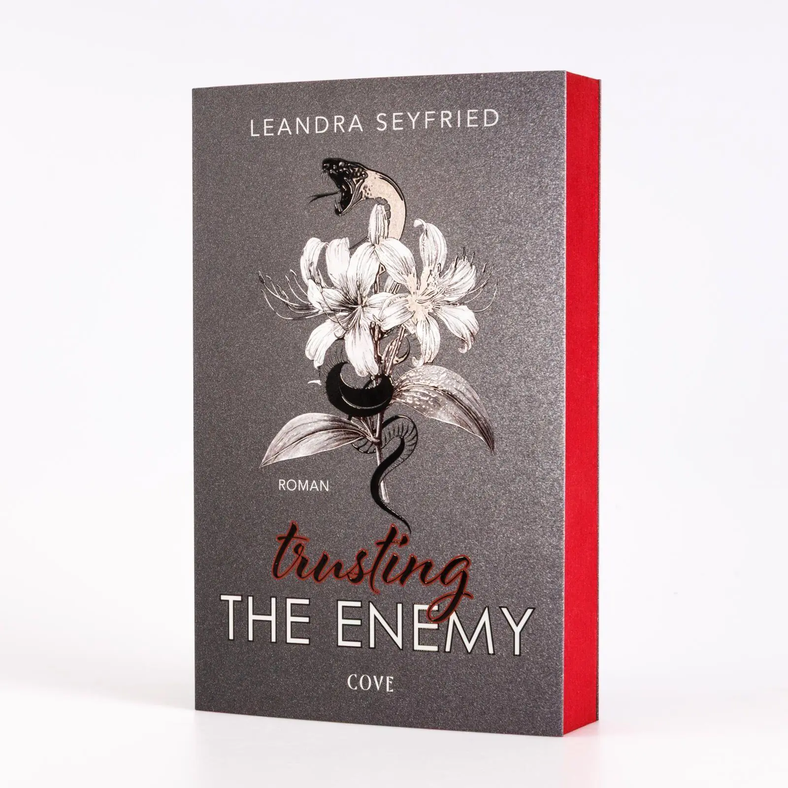Bild: 9783551586230 | Trusting The Enemy (Sons of Chicago 2) | Leandra Seyfried | Buch