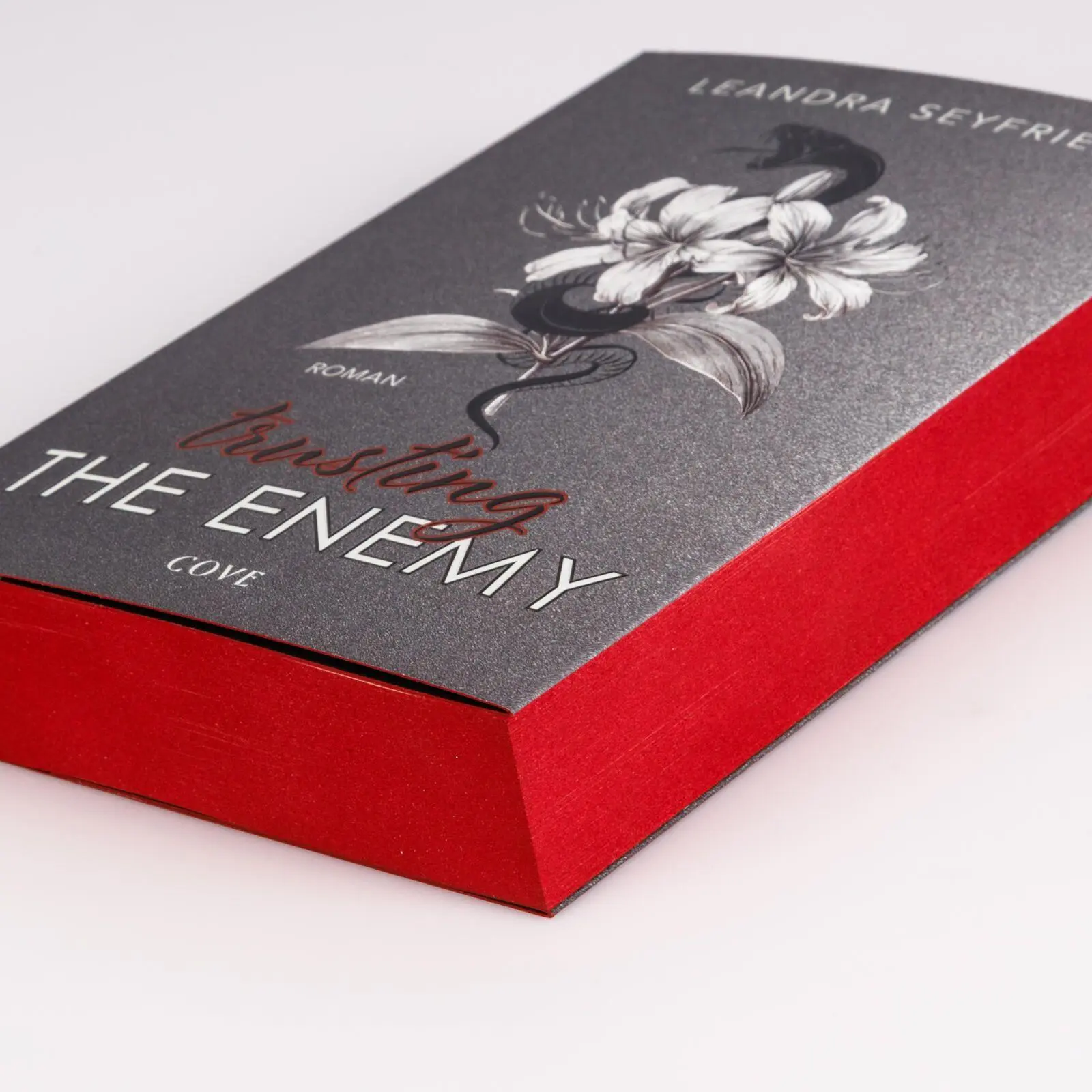 Bild: 9783551586230 | Trusting The Enemy (Sons of Chicago 2) | Leandra Seyfried | Buch