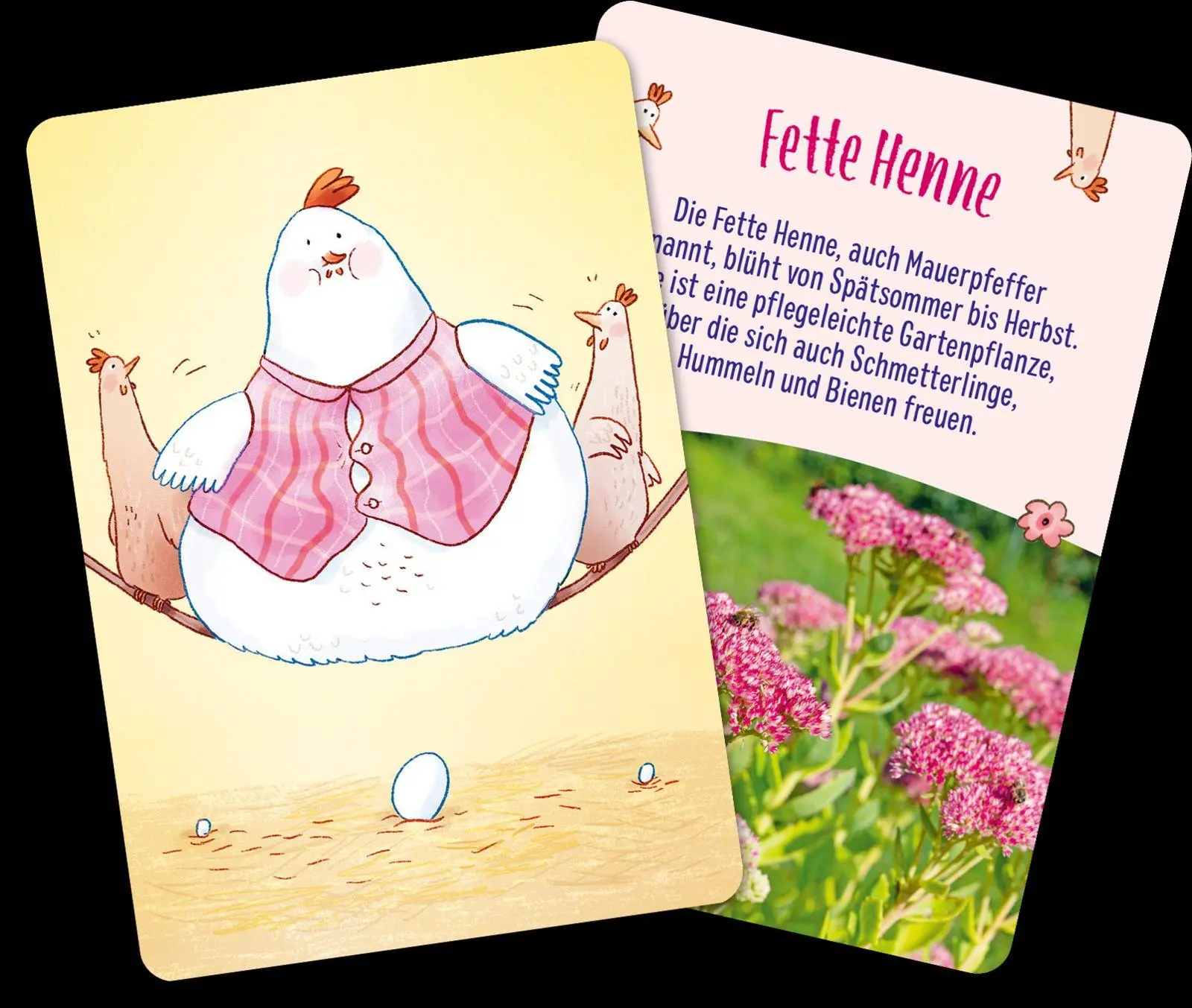 Bild: 4260308346330 | Löwenzahn und Gänseblümchen | Pattloch Verlag | Spiel | Schachtel