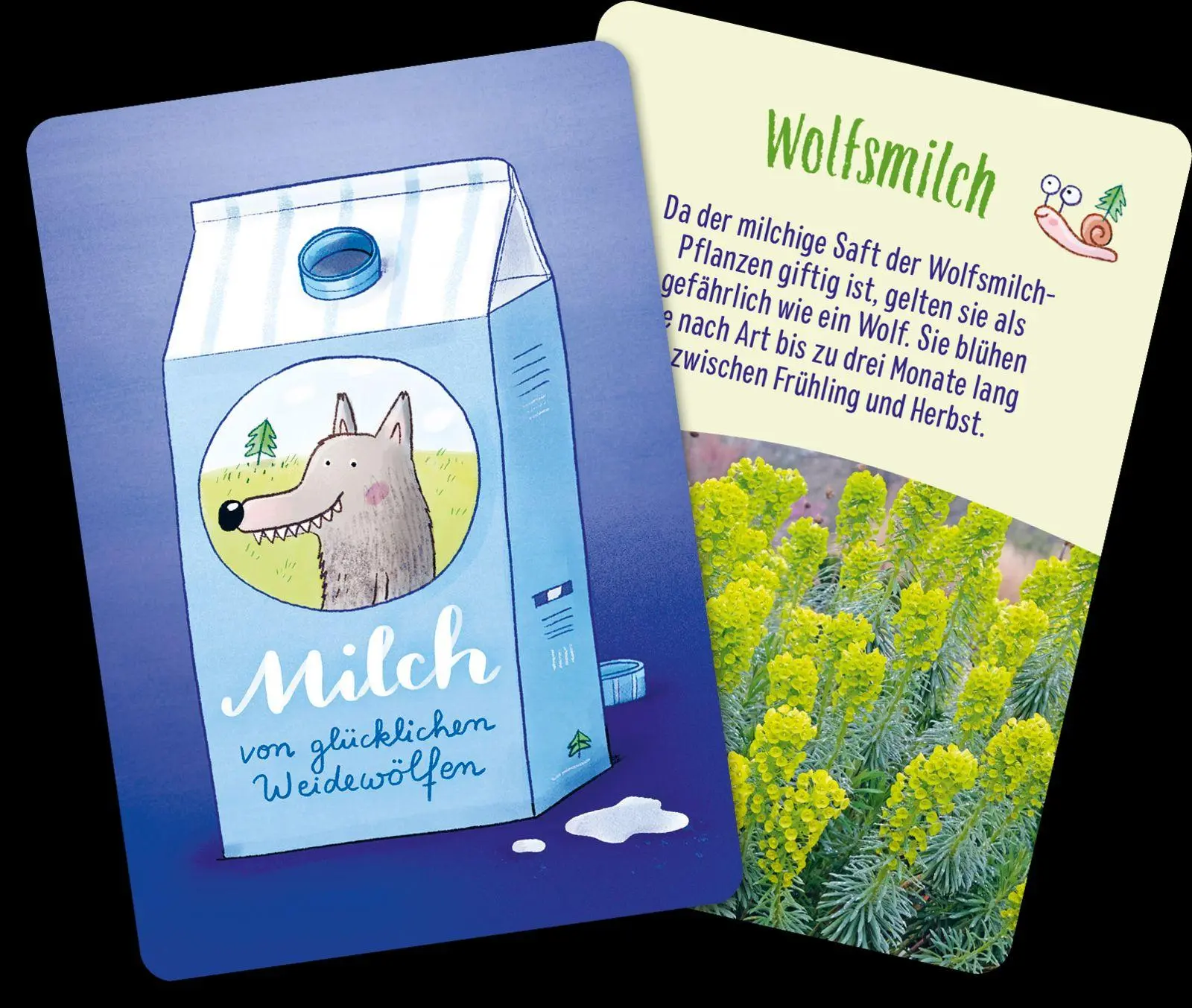 Bild: 4260308346330 | Löwenzahn und Gänseblümchen | Pattloch Verlag | Spiel | Schachtel