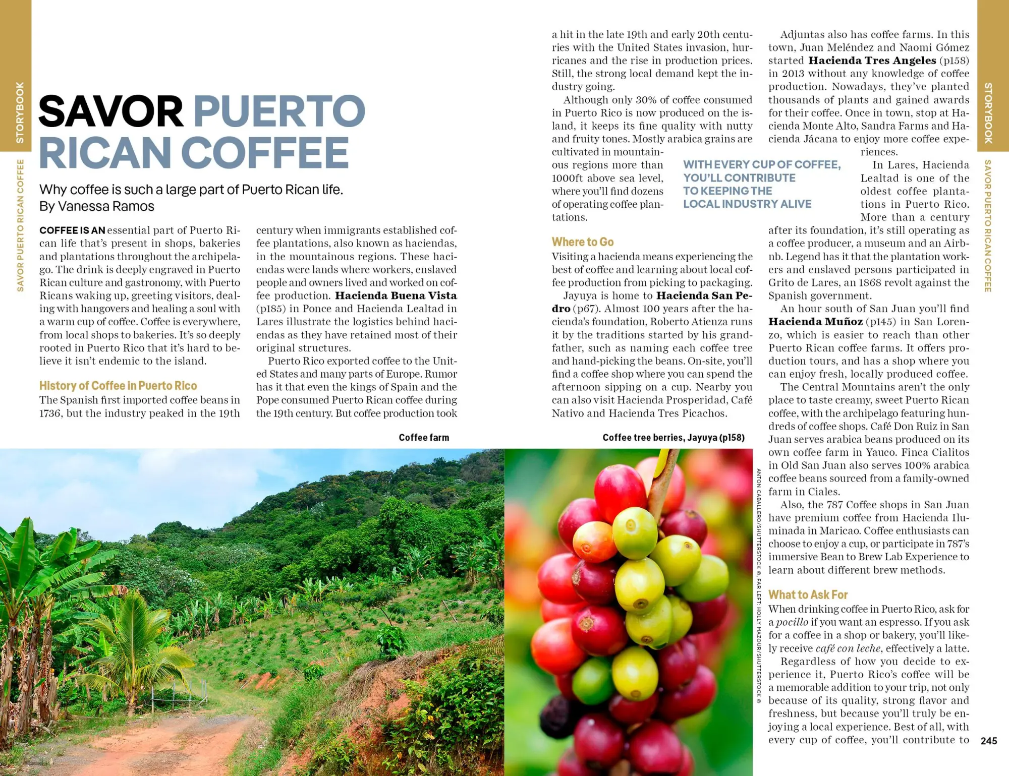 Bild: 9781787016330 | Lonely Planet Puerto Rico | Planet Lonely | Taschenbuch | Englisch