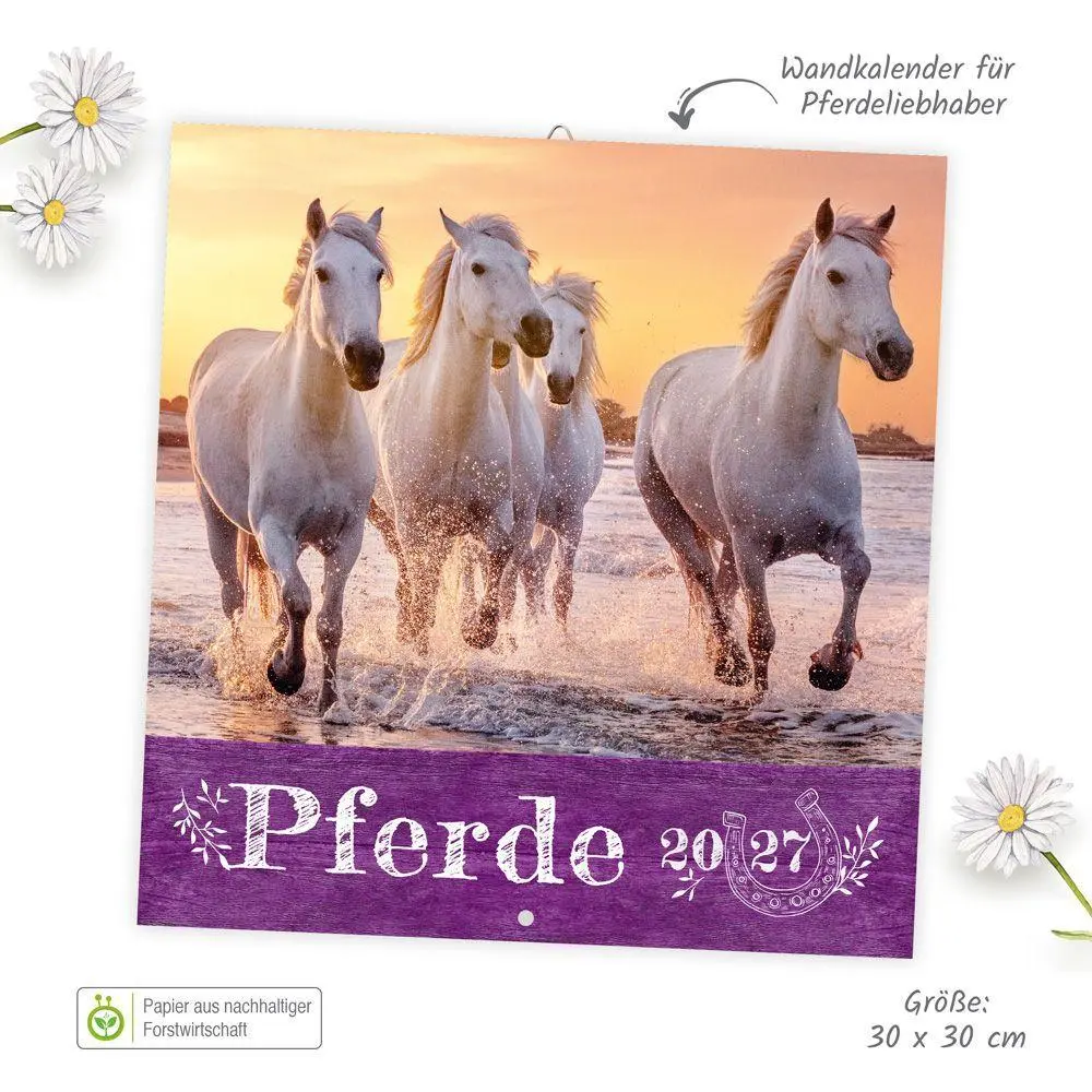 Bild: 9783988026330 | TRÖTSCH - Broschürenkalender Pferde 2027 | Wandplaner | KG | Kalender