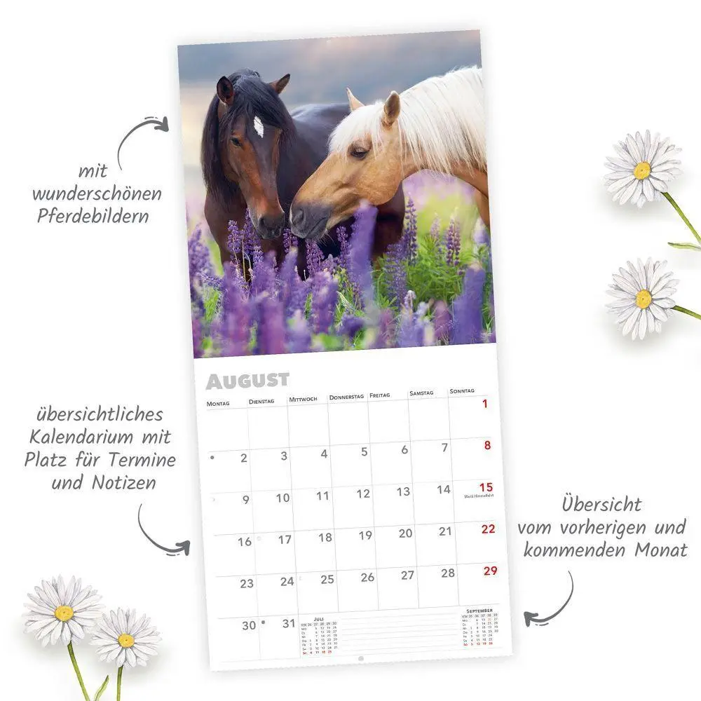 Bild: 9783988026330 | TRÖTSCH - Broschürenkalender Pferde 2027 | Wandplaner | KG | Kalender