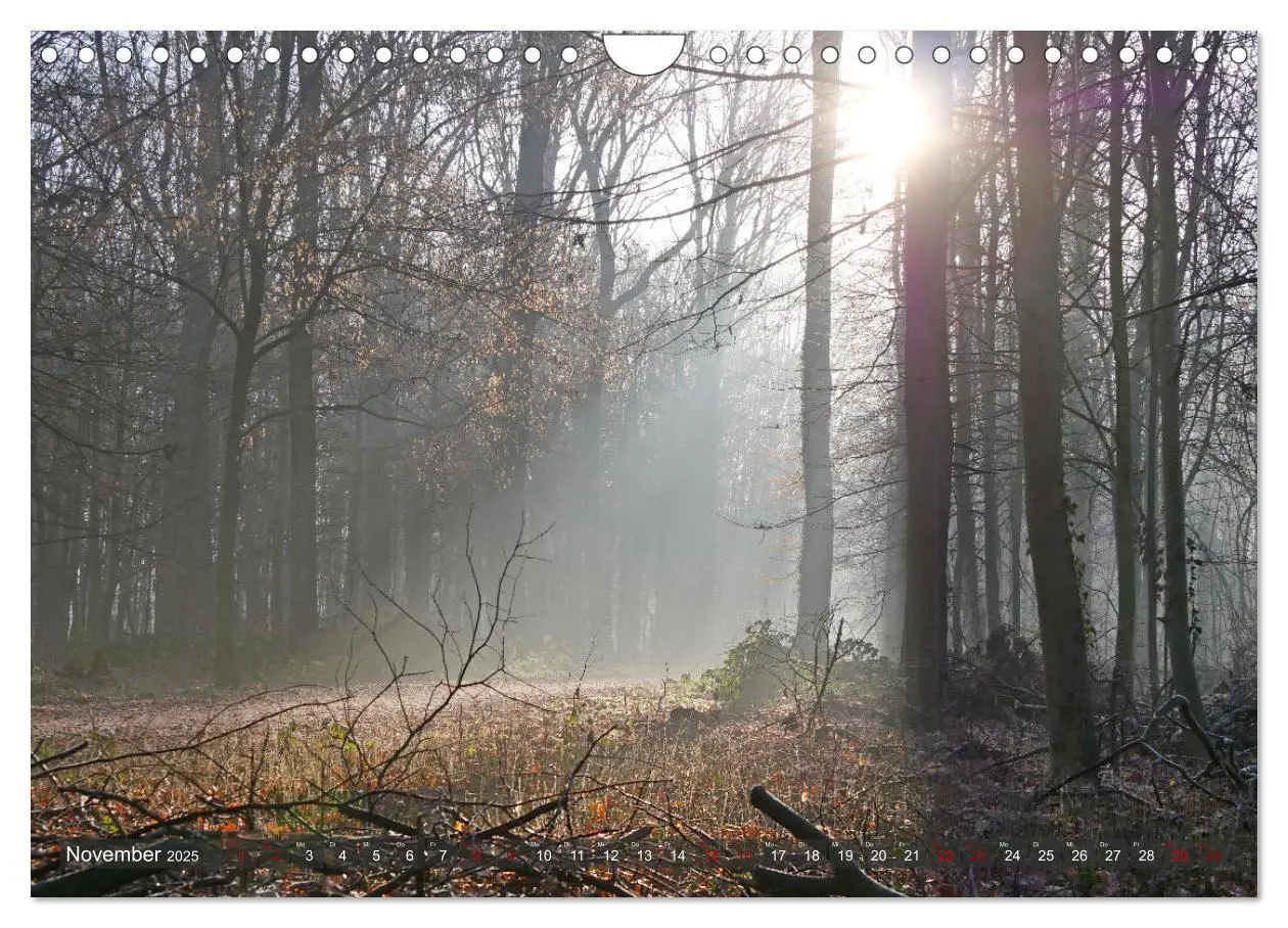Bild: 9783435046430 | Garbsen, Landschaftsmomente (Wandkalender 2025 DIN A4 quer),...