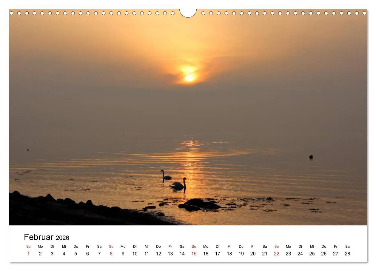 Bild: 9783516086430 | Ostseeküste 2026 (Wandkalender 2026 DIN A3 quer), CALVENDO...