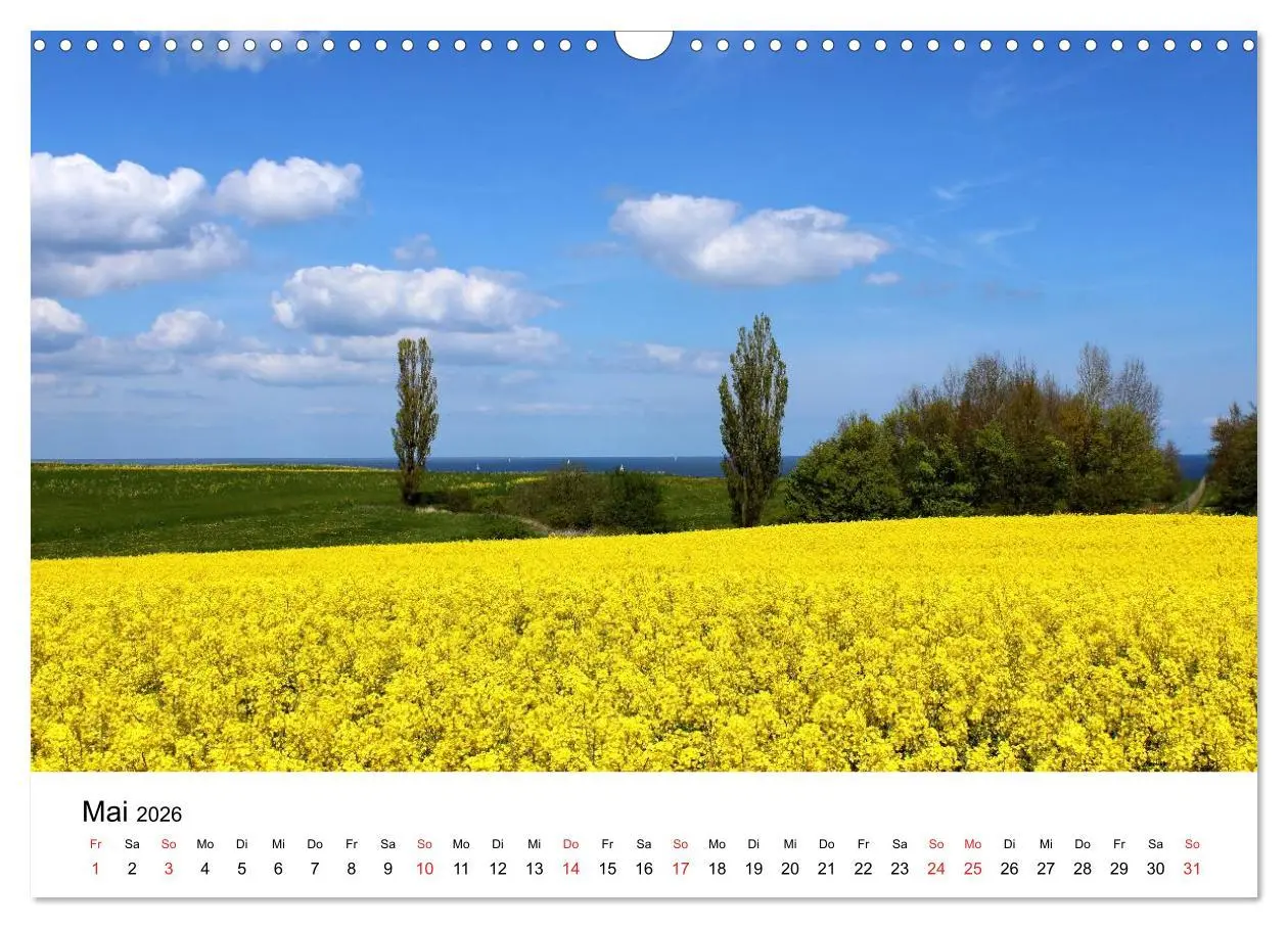 Bild: 9783516086430 | Ostseeküste 2026 (Wandkalender 2026 DIN A3 quer), CALVENDO...