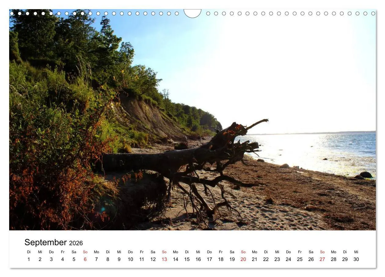 Bild: 9783516086430 | Ostseeküste 2026 (Wandkalender 2026 DIN A3 quer), CALVENDO...