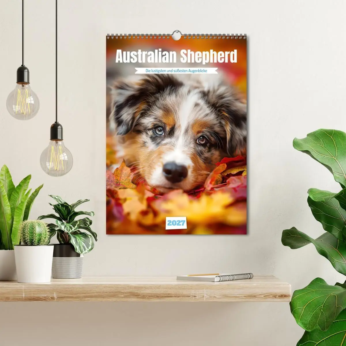 Bild: 9783569626430 | Australian Shepherd (Wandkalender 2027 DIN A3 hoch), CALVENDO...