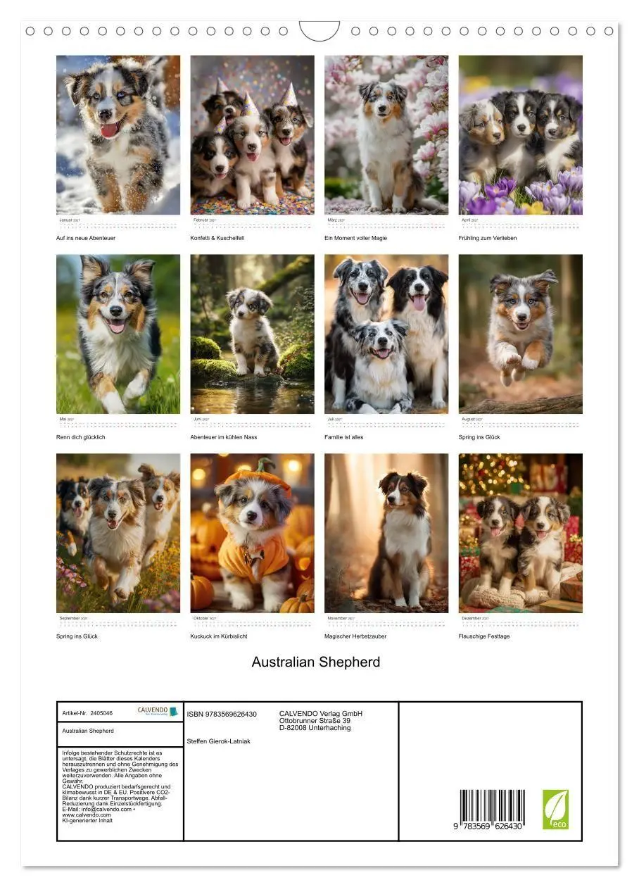 Bild: 9783569626430 | Australian Shepherd (Wandkalender 2027 DIN A3 hoch), CALVENDO...