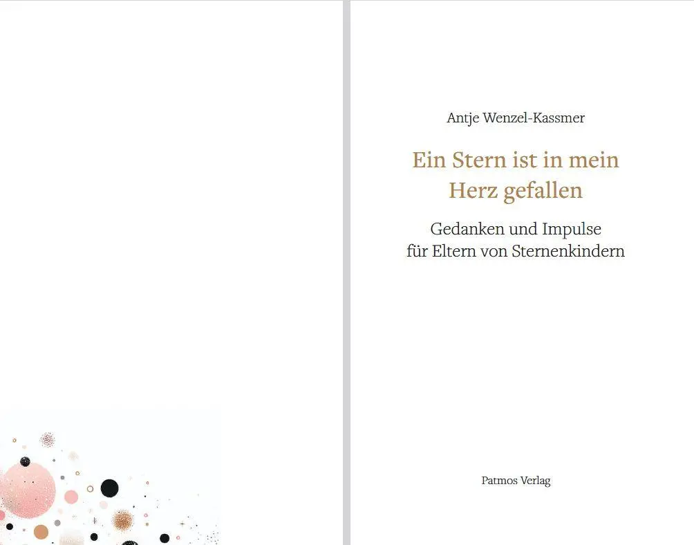 Bild: 9783843616430 | Ein Stern ist in mein Herz gefallen | Antje Wenzel-Kassmer | Buch