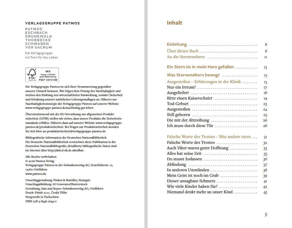 Bild: 9783843616430 | Ein Stern ist in mein Herz gefallen | Antje Wenzel-Kassmer | Buch