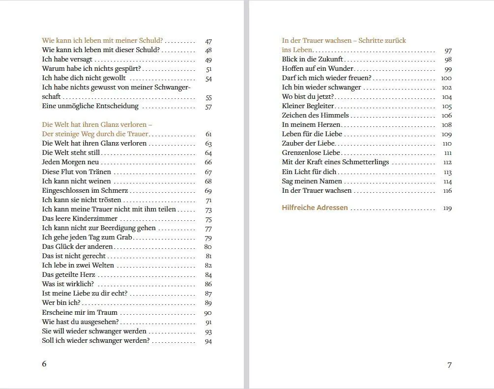 Bild: 9783843616430 | Ein Stern ist in mein Herz gefallen | Antje Wenzel-Kassmer | Buch