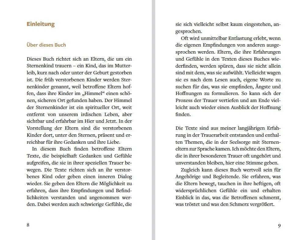 Bild: 9783843616430 | Ein Stern ist in mein Herz gefallen | Antje Wenzel-Kassmer | Buch