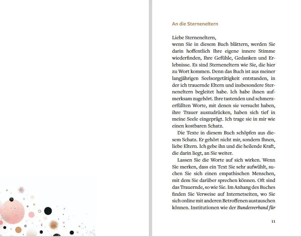 Bild: 9783843616430 | Ein Stern ist in mein Herz gefallen | Antje Wenzel-Kassmer | Buch