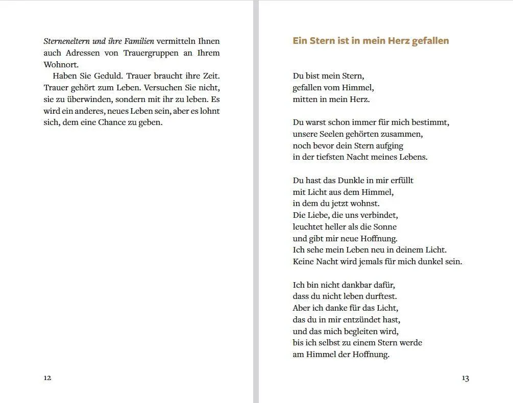 Bild: 9783843616430 | Ein Stern ist in mein Herz gefallen | Antje Wenzel-Kassmer | Buch