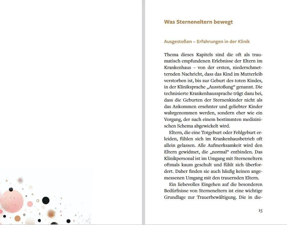 Bild: 9783843616430 | Ein Stern ist in mein Herz gefallen | Antje Wenzel-Kassmer | Buch