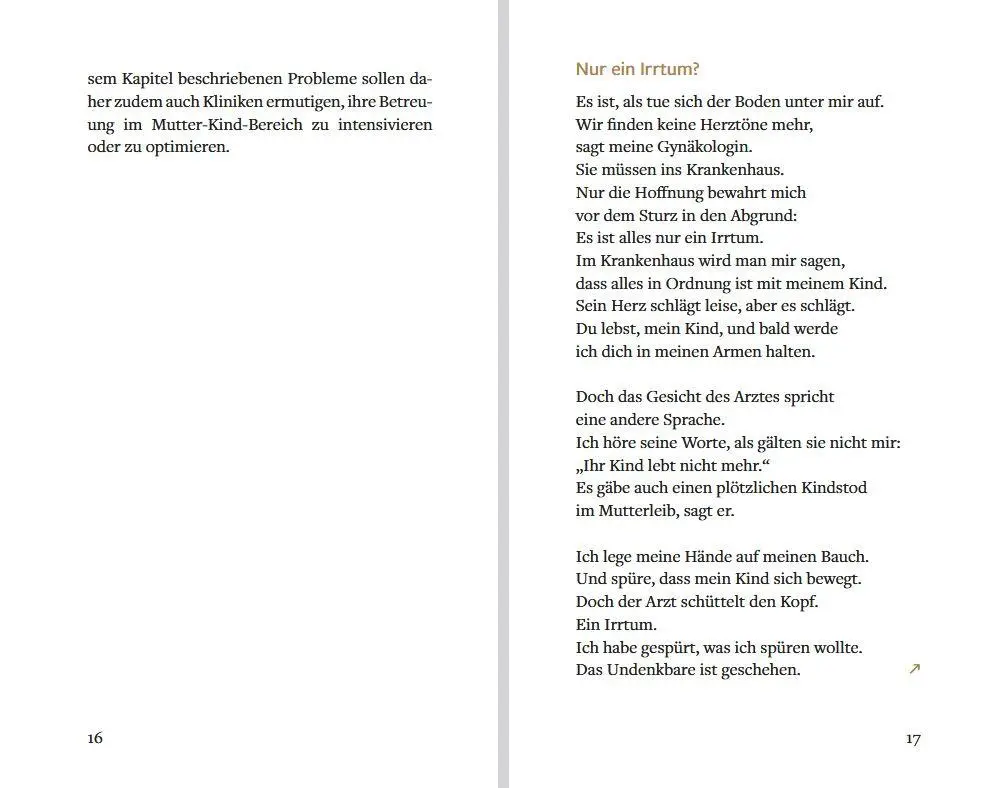 Bild: 9783843616430 | Ein Stern ist in mein Herz gefallen | Antje Wenzel-Kassmer | Buch